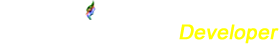 FlamyTech Developer Logo