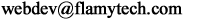 FlamyTech Web Developer E-mail Address