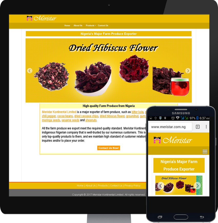Meristar.com.ng Homepage Design